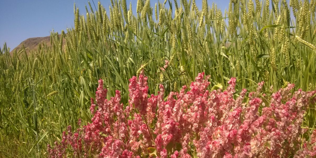 دليل شامل نصائح لشراء ماكينة عد النقود وكيفية الاستفادة من عروض مكن عد النقود